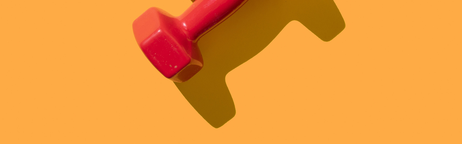 Prinzip 4: Diszipliniert bleiben